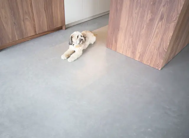 Een ruime, lichte hal met een grijs-blauwe naadloze vloer en moderne houtfineer deurelementen. Het interieur oogt strak, opgeruimd en zeer contemporary.