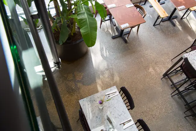 Ruim restaurant met naadloze vloer in warm grijs, verzorgde tafels en groen plantendecor. Helder natuurlijk licht creëert een serene, minimalistisch ingerichte eetruimte.